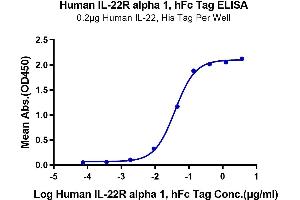 ELISA image for Interleukin 22 Receptor, alpha 1 (IL22RA1) (AA 16-228) protein (Fc Tag) (ABIN7275022)