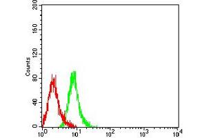 Flow Cytometry (FACS) image for anti-Killer Cell Immunoglobulin-Like Receptor, three Domains, Long Cytoplasmic Tail, 1 (KIR3DL1) (AA 22-340) antibody (ABIN5611327)