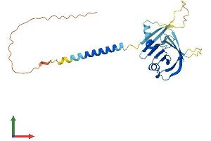 AlphaFold protein structure predicition of Mouse Recombinant Itm2b Protein, UniprotID O89051