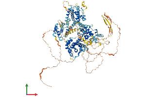 AlphaFold protein structure predicition of Human Recombinant RBL2 Protein, UniprotID Q08999