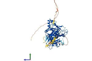 Protein Structure (PS) image for Recombination Signal Binding Protein For Immunoglobulin kappa J Region (RBPJ) (AA 1-526) protein (His tag) (ABIN7563108)