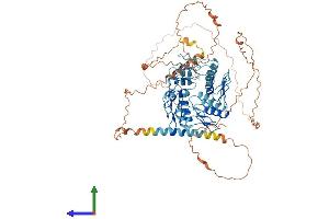 AlphaFold protein structure predicition of Human Recombinant ZNF180 Protein, UniprotID Q9UJW8 (ZNF180 Protein (AA 1-692) (His tag))