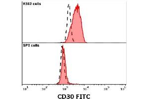 Anti-human CD30 FITC antibody (clone MEM-268) specificity verification by flow cytometry Anti-human CD30 FITC (MEM-268) antibody (concentration in sample 1.