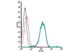 Cell surface detection of GP130/CD130 by indirect flow cytometry in live intact human THP-1 monocytic leukemia cells:  (black line) Cells.