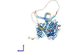 AlphaFold protein structure predicition of Human Recombinant DHX16 Protein, UniprotID O60231