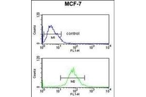 AIM2 Antibody (N-term) (ABIN653833 and ABIN2843099) flow cytometric analysis of MCF-7 cells (bottom histogram) compared to a negative control cell (top histogram). (AIM2 抗体  (N-Term))
