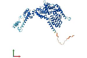 Protein Structure (PS) image for Cofactor of BRCA1 (COBRA1) (AA 1-580) protein (His tag) (ABIN7549676)
