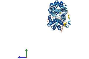 Protein Structure (PS) image for Solute Carrier Family 22 (Organic Anion Transporter), Member 13 (SLC22A13) (AA 1-551) protein (His tag) (ABIN7557903)