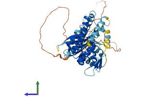 Protein Structure (PS) image for Chromosome 17 Open Reading Frame 75 (C17orf75) (AA 1-396) protein (His tag) (ABIN7549792)
