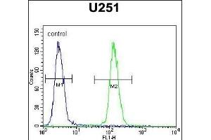 Flow Cytometry (FACS) image for anti-Interaction Protein For Cytohesin Exchange Factors 1 (IPCEF1) (AA 313-341), (C-Term) antibody (ABIN654728)