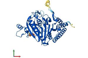 Protein Structure (PS) image for Secernin 3 (SCRN3) (AA 1-424) protein (His tag) (ABIN7546008)