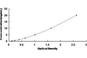 Typical standard curve (NADPH Oxidase 4 ELISA 试剂盒)