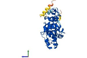 Protein Structure (PS) image for TBC1 Domain Family, Member 7 (TBC1D7) (AA 1-293) protein (His tag) (ABIN7560837)