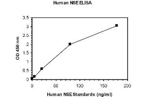 ELISA image for Enolase 2 (Gamma, Neuronal) (ENO2) ELISA Kit (ABIN1305165) (ENO2/NSE ELISA 试剂盒)
