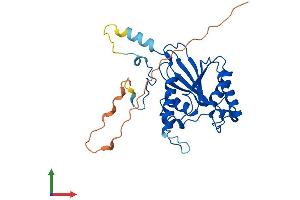 AlphaFold protein structure predicition of Human Recombinant PGAM5 Protein, UniprotID Q96HS1