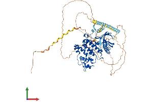 Protein Structure (PS) image for SFRS Protein Kinase 2 (SRPK2) (AA 1-681) protein (His tag) (ABIN7562408)
