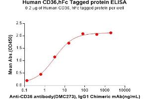 ELISA image for CD36 (CD36) (AA 30-439) protein (Fc Tag) (ABIN7092680)