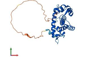 Protein Structure (PS) image for Grancalcin, EF-Hand Calcium Binding Protein (GCA) (AA 1-217) protein (His tag) (ABIN7548068)