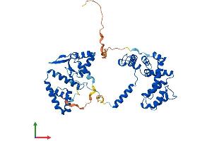 AlphaFold protein structure predicition of Human Recombinant RGS11 Protein, UniprotID O94810