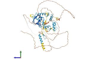 Protein Structure (PS) image for Zinc Finger and BTB Domain Containing 44 (ZBTB44) (AA 1-570) protein (His tag) (ABIN7545243)