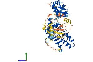 Protein Structure (PS) image for Nuclear RNA Export Factor 5 (NXF5) (AA 1-397) protein (His tag) (ABIN7550003)