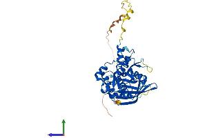 Protein Structure (PS) image for Protein tyrosine Phosphatase, Non-Receptor Type 7 (PTPN7) (AA 1-360) protein (His tag) (ABIN7551059)