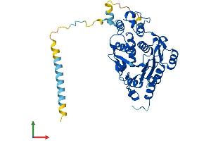 Protein Structure (PS) image for UDP-GlcNAc:BetaGal beta-1,3-N-Acetylglucosaminyltransferase 2 (B3GNT2) (AA 1-397) protein (His tag) (ABIN7556404)