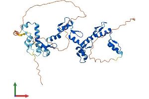 Protein Structure (PS) image for Zinc Finger Protein 92 (ZNF92) (AA 1-416) protein (His tag) (ABIN7545528)