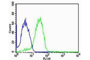 Flow cytometric analysis of MCF-7 cells using UIMC1 Antibody (C-term)(green, Cat(ABIN1944736 and ABIN2838561)) compared to an isotype control of rabbit IgG(blue). (UIMC1 抗体  (C-Term))