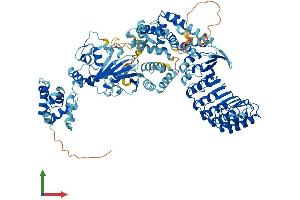 Protein Structure (PS) image for Nucleotide-Binding Oligomerization Domain Containing 1 (NOD1) (AA 1-953) protein (His tag) (ABIN7564355)