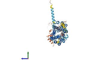 Protein Structure (PS) image for Solute Carrier Family 18 (Vesicular Acetylcholine), Member 3 (SLC18A3) (AA 1-532) protein (His tag) (ABIN7545056)
