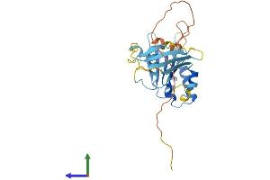 Protein Structure (PS) image for SWIM-Type Zinc Finger 7 Associated Protein 1 (SWSAP1) (AA 1-278) protein (His tag) (ABIN7559820)