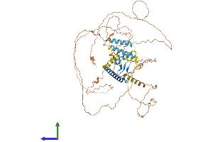 AlphaFold protein structure predicition of Mouse Recombinant Hjurp Protein, UniprotID Q6PG16