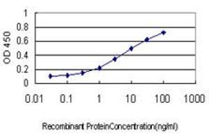 ELISA image for anti-Signal Sequence Receptor, delta (SSR4) (AA 24-173) antibody (ABIN563012)