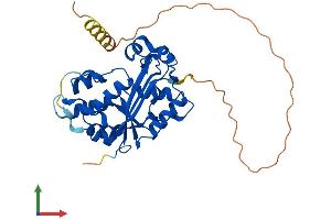 Protein Structure (PS) image for three Prime Repair Exonuclease 1 (TREX1) (AA 1-314) protein (His tag) (ABIN7564810)