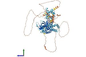 AlphaFold protein structure predicition of Human Recombinant ARHGEF7 Protein, UniprotID Q14155