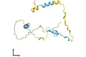 Protein Structure (PS) image for Chromosome 1 Open Reading Frame 144 (C1orf144) (AA 1-152) protein (His tag) (ABIN7557969)