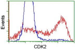 HEK293T cells transfected with either RC200494 overexpress plasmid (Red) or empty vector control plasmid (Blue) were immunostained by anti-CDK2 antibody (ABIN2454524), and then analyzed by flow cytometry. (CDK2 抗体)