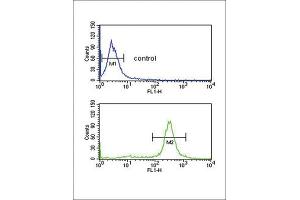 Flow Cytometry (FACS) image for anti-Fc Fragment of IgG, Low Affinity IIa, Receptor (CD32) (FCGR2A) antibody (ABIN3003965)