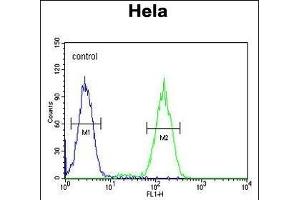 Flow Cytometry (FACS) image for anti-Branched Chain Keto Acid Dehydrogenase E1, beta Polypeptide (BCKDHB) (AA 41-70), (N-Term) antibody (ABIN654629)