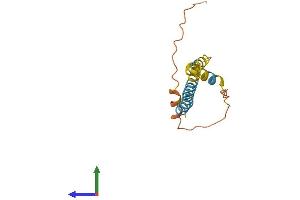 AlphaFold protein structure predicition of Human Recombinant IFITM3 Protein, UniprotID Q01628