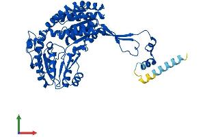 Protein Structure (PS) image for Aldehyde Dehydrogenase 3 Family, Member A2 (ALDH3A2) (AA 1-485) protein (His tag) (ABIN7552044)
