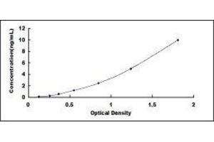 Lysosomal-Associated Membrane Protein 1 (LAMP1) ELISA Kit