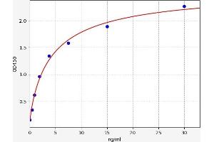 Typical standard curve (FGA ELISA 试剂盒)