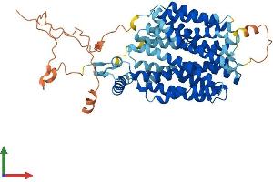 Protein Structure (PS) image for Synaptic Vesicle 2-Related Protein (SVOP) (AA 1-548) protein (His tag) (ABIN7558497)