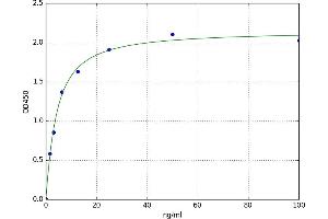 Survival of Motor Neuron 1, Telomeric (SMN1) ELISA Kit