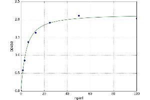 A typical standard curve (SMN1 ELISA 试剂盒)
