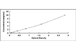 Typical standard curve (CysLTR1 ELISA 试剂盒)