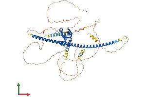 AlphaFold protein structure predicition of Human Recombinant DACH2 Protein, UniprotID Q96NX9