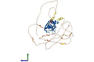 Protein Structure (PS) image for T-Box 4 (TBX4) (AA 1-552) protein (His tag) (ABIN7556696)